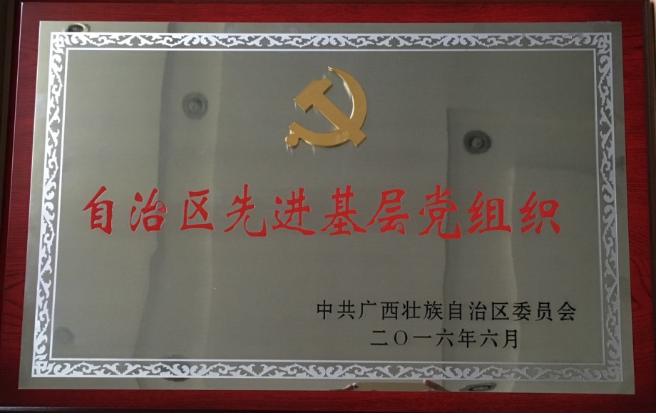 广西银亿党委荣获“自治区先进基层党组织”荣...