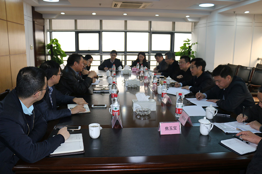 王剑侯副市长调研银亿集团走出去情况