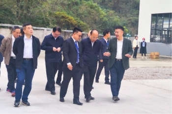 鼓劲！广西壮族自治区副主席廖品琥专程到河化工业园考察