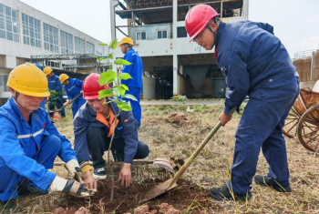 植绿护绿践初心 共建生态新银亿——广西银亿...